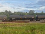 CBTX 738248